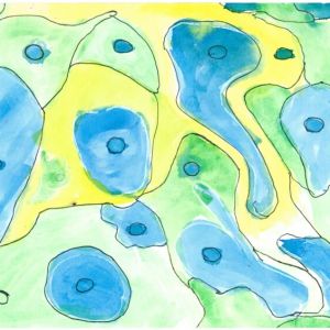 5. místo Martin Svoboda – Bloudící svět
